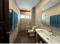 Shamrock Park (D10), Semi-Detached #450098261